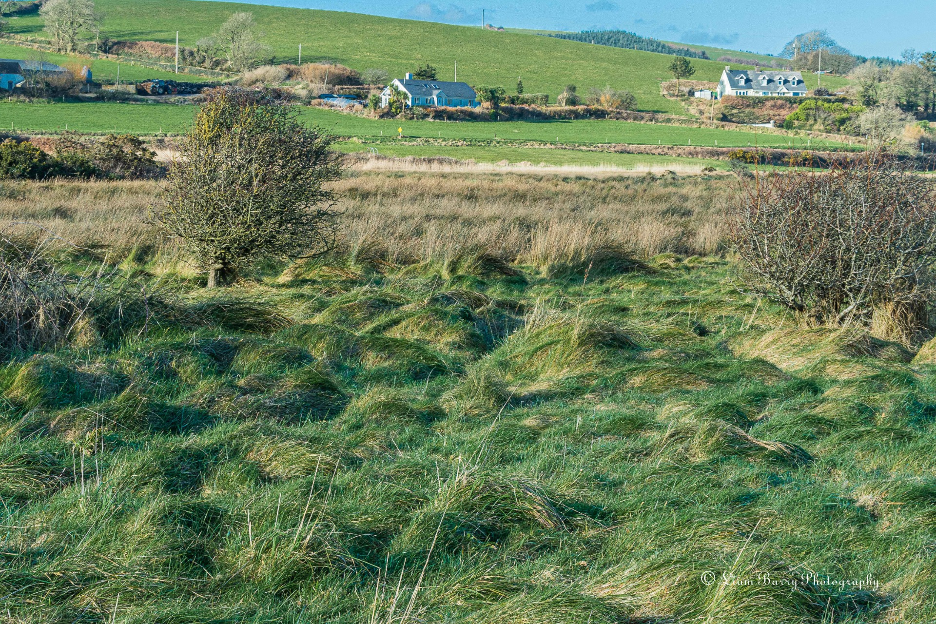 Harbour View Kilbrittain  LB 149